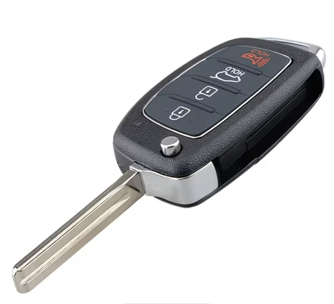 Santa Key Shell